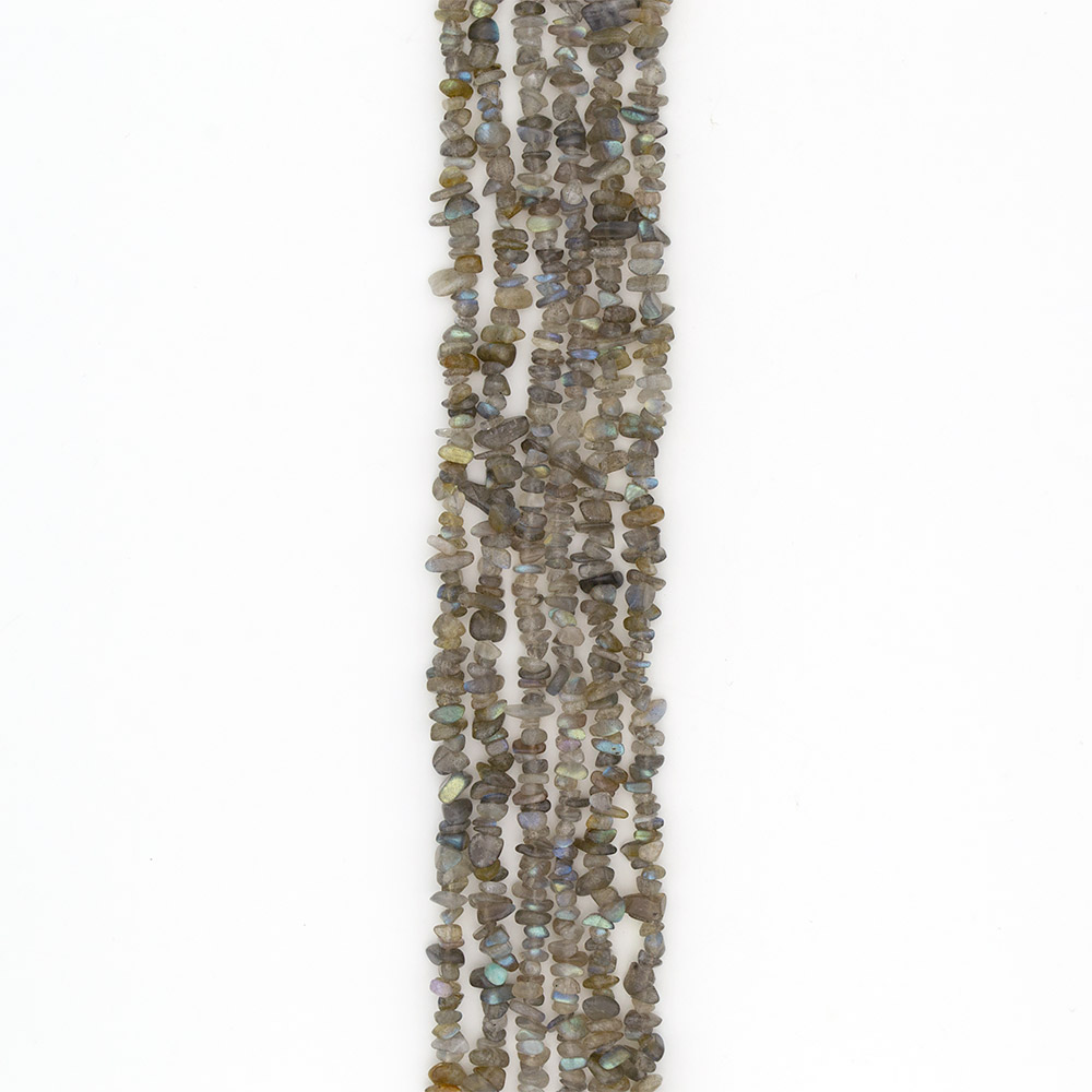 Фото товара лабрадор крошка мелкая