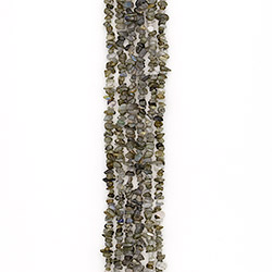 Лабрадор крошка средняя